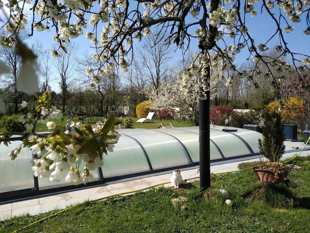 La Longere Des Gillettes Bed and Breakfast Bézenet Εξωτερικό φωτογραφία