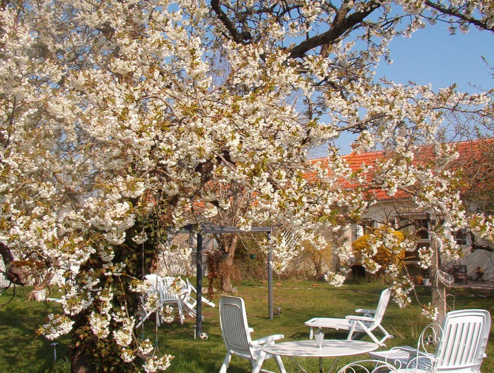 La Longere Des Gillettes Bed and Breakfast Bézenet Εξωτερικό φωτογραφία