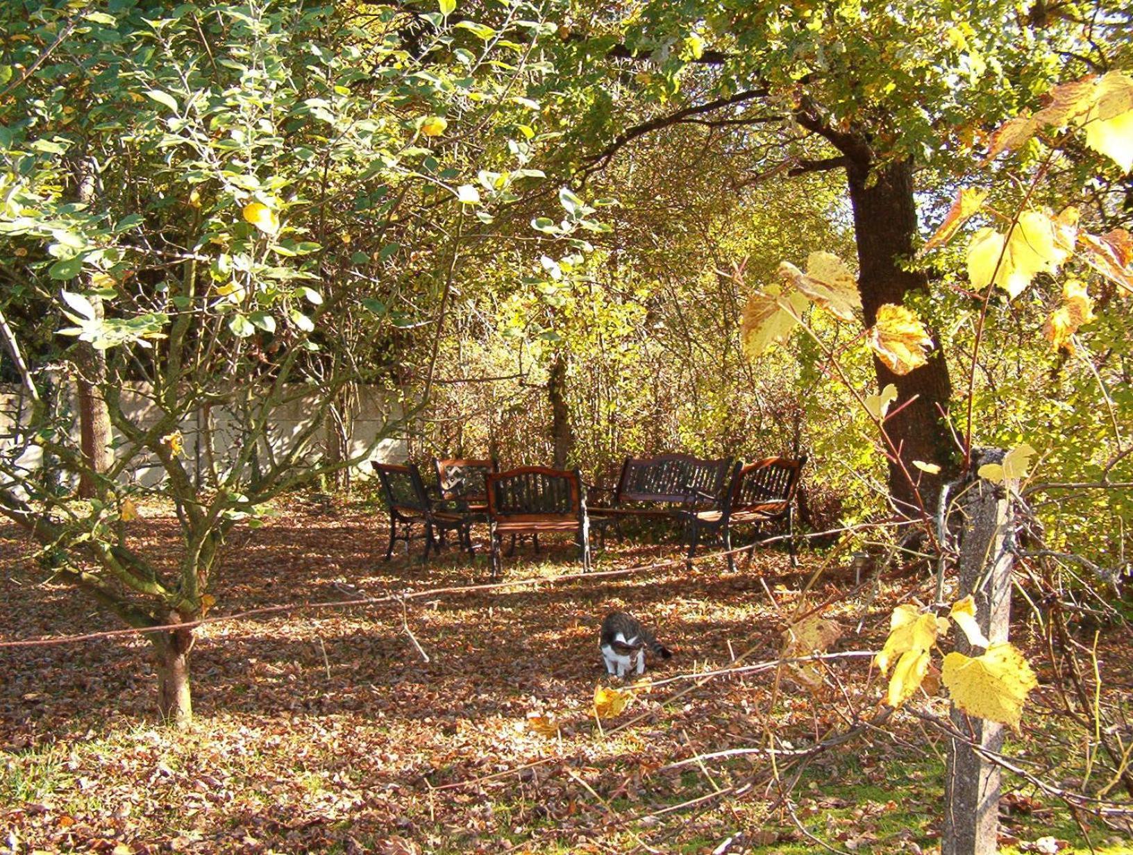 La Longere Des Gillettes Bed and Breakfast Bézenet Εξωτερικό φωτογραφία